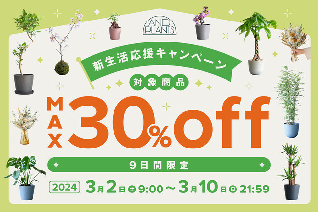 観葉植物やドライフラワーが最大30%OFF！アンドプランツ「新生活応援キャンペーン2024」を3月2日（土）より開催