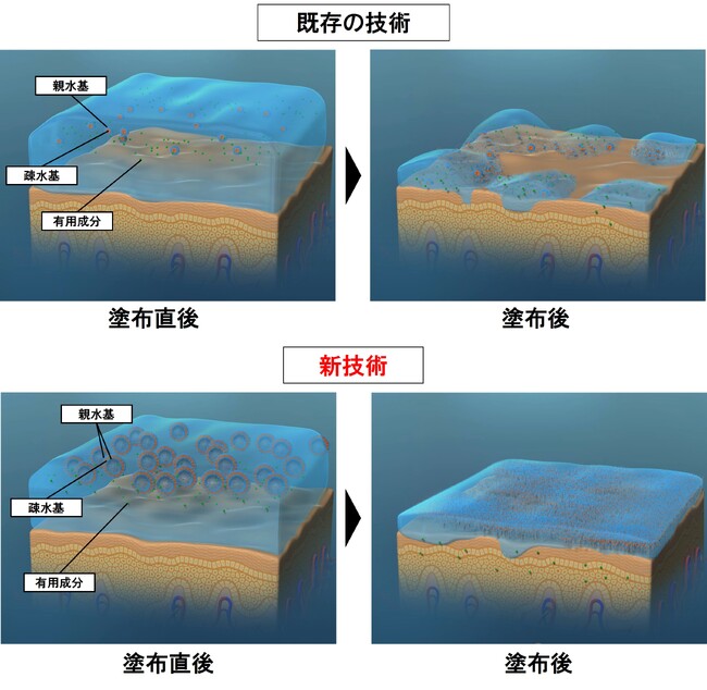 資生堂、有用成分を素早く肌の隅々まで浸透させより高いスキンケア効果を期待できる新化粧水処方技術を開発　～美白有効成分m-トラネキサム酸が、素早くより多く、肌内部へ浸透することを確認～