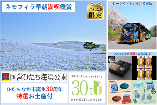 「茨城県ひたちなか市」・「国営ひたち海浜公園」・「さとふる」国営ひたち海浜公園のネモフィラを一般開園前に鑑賞できる体験型お礼品の寄付受け付け開始