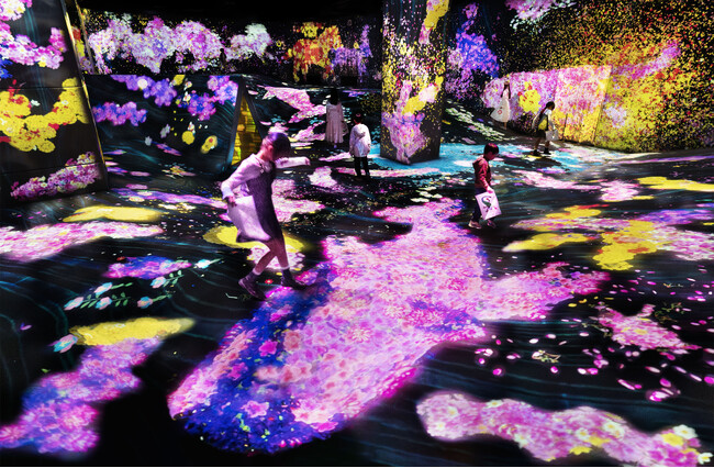 チームラボフォレスト（福岡）、桜咲く春の景色に。高低差のある立体的な地形では、桜の花でできた動物たちが歩き回る。3月1日(金)から