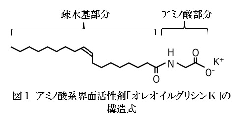 【ファンケル研究情報】新たなアミノ酸系界面活性剤の開発に成功