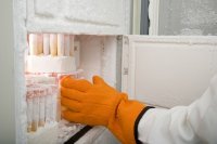 最新のDNA保存技術を活用した新プロジェクト「DNA MIRACLE」を開始