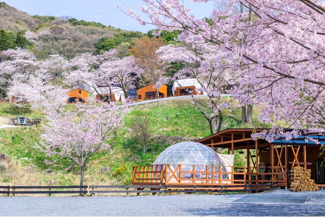 【自社調査】お花見に関する調査で、約9割以上が「室内からのお花見はあり」と回答