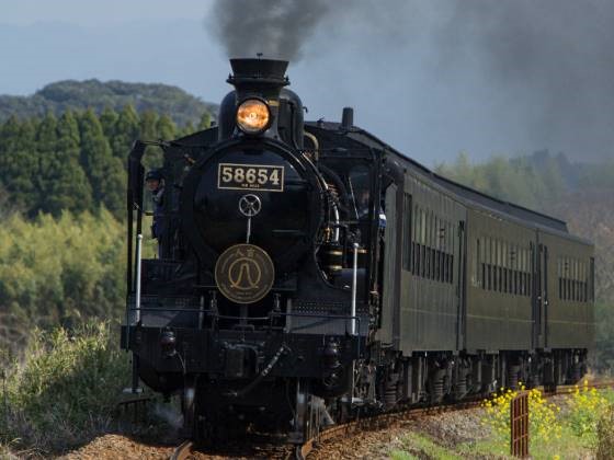 2024年3月運行終了！《ありがとう！ＳＬ人吉》　3月14日出発限定　特別企画　ＳＬ人吉に乗車する1泊2日のツアーを好評発売中！