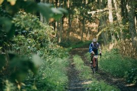 白樺林に囲まれたグラベル 白樺林に囲まれたグラベル