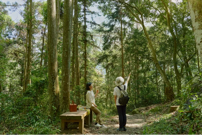 【星のやグーグァン】森林浴で爽涼な沐暑（ムースー）リゾートを味わう「森の清潤（セイジュン）滞在」を提供開始｜2024年4月1日～6月30日