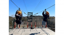 スリル満点！大迫力のゴジラに向かって“大滑空”女子旅ジップライン！「一緒に飛ぼう！撮影しよう！春のペアジップライン」いよいよ明日3月2日（土）より開催