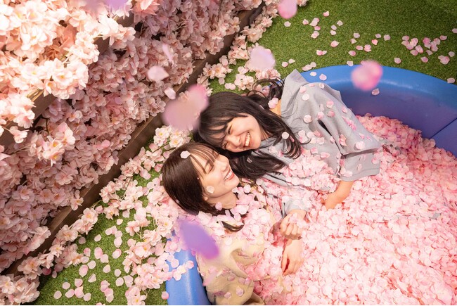 おふろcafe ハレニワの湯にて、桜がテーマの春シーズンイベントがスタート。おふろ・サウナ・館内が桜まみれに！