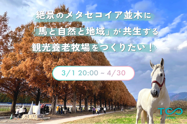 絶景の #メタセコイア並木 に 
