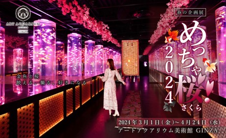 満開の“桜映え”を全力で楽しめる！　昨年も大好評、幻想的な桜体験がパワーアップして今年も登場(ハート)　アートアクアリウム美術館 GINZA　春の企画展　「めっちゃ桜！2024」開幕！