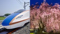 北陸新幹線延伸開業で、首都圏からのアクセスが良好に！ 大江戸温泉物語　石川県と福井県の宿で3月1日、春のまんぞくバイキングスタート！