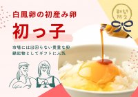 美味しい卵とプリンのお取り寄せ！市場には出回らない貴重なたまご初産み卵『初っ子』とお祝いスイーツ『初っ子プリン』の予約受付をスタート！