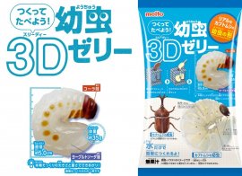 トップ画像 トップ画像
