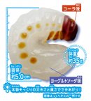 出来上がりイメージ 出来上がりイメージ