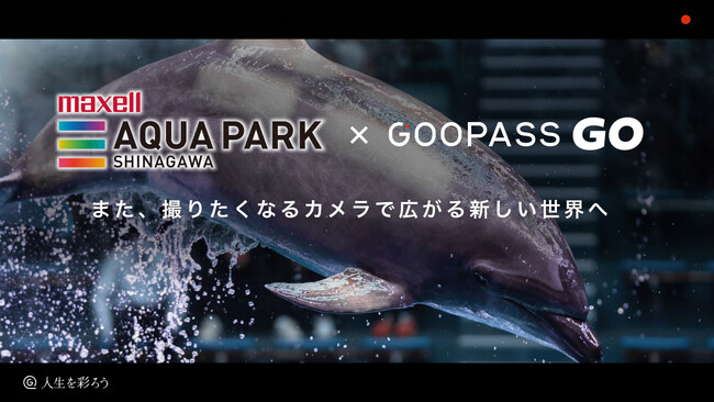 トキを彩るプレミアム体験サービスGOOPASS GO『マクセル アクアパーク品川』での特別体験を提供