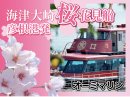 海津大崎