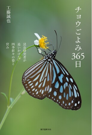 寝ても覚めてもチョウに夢虫（むちゅう）　昆虫研究者による偏愛ごよみ