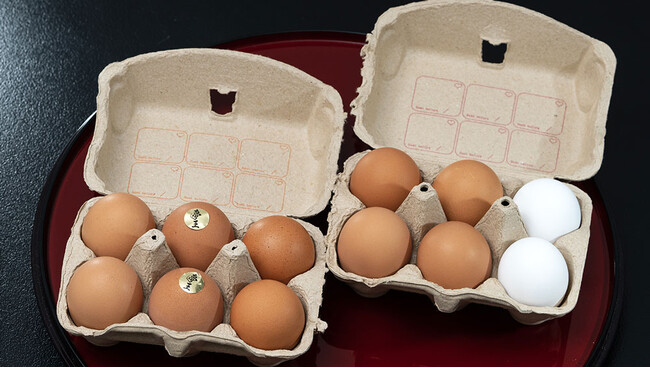 たまごかけご飯好き、大注目！一般入手が難しい全国のこだわり卵 “約100種類” から６種を厳選してお届けする「日本たまごかけごはん研究所」とのコラボ第二弾です
