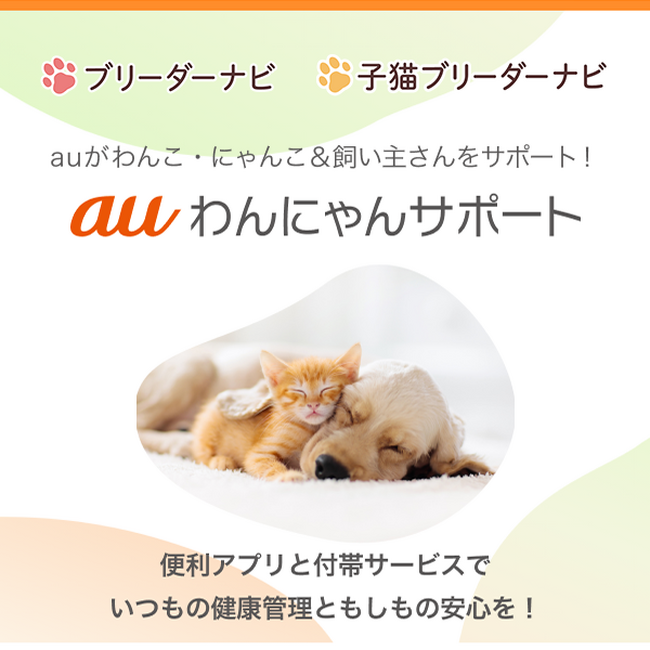 ブリーダーナビ、子猫ブリーダーナビが、ご成約ユーザー向けにKDDI『auわんにゃんサポート』のご案内を開始