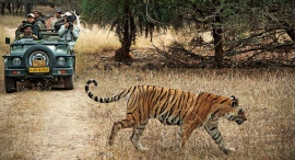 インドで日本人が結婚式をする。日本でインド人が結婚式をする。インドと日本がブライダルで繋がるチャレンジが始まります。