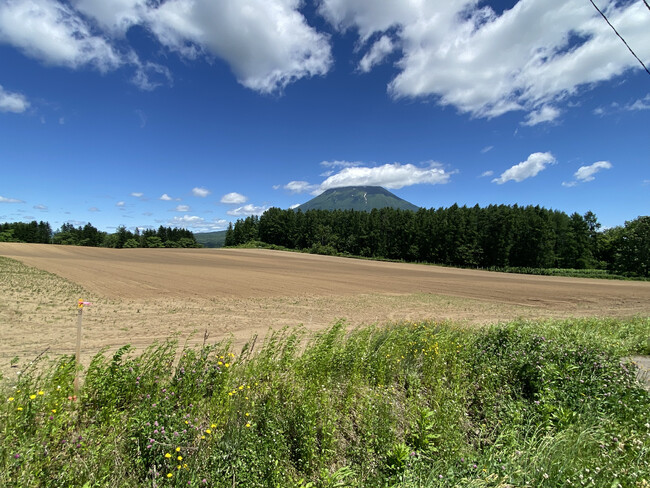 リストグループのリストデベロップメント　ニセコを拠点とする農業法人「LIST FARM合同会社」を設立