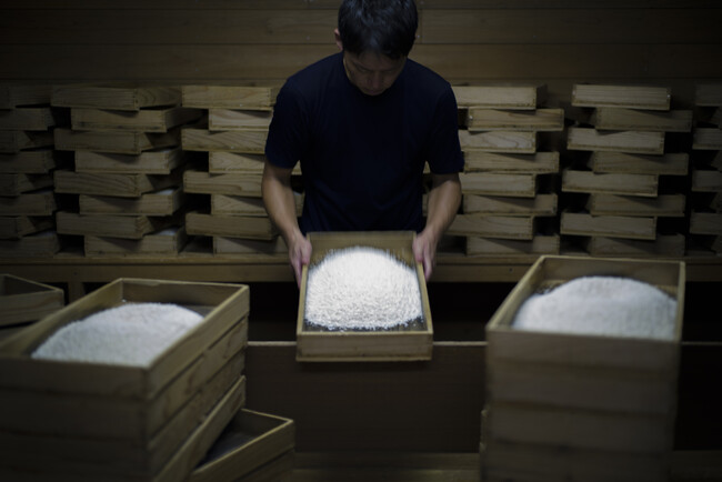 【界 霧島】「杜氏から教わる本格焼酎と醸造蔵見学」２つの蔵で開催｜期間：2024年4月1日～2025年3月31日