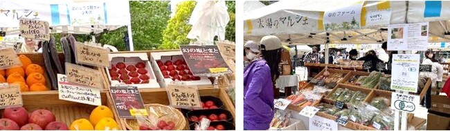 三井不動産レジデンシャル、東京湾岸エリア活性化プロジェクト「WANGAN ACTION」　SDGs をテーマにした「太陽のマルシェ」（第4回）を開催
