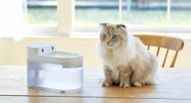 株式会社オーエフティーが、自動ネコトイレ「CATLINK」と連動して愛猫の体調管理ができる自動給水器「CATLINK ワイヤレスファウンテン」を3月6日に発売 株式会社オーエフティーが、自動ネコトイレ「CATLINK」と連動して愛猫の体調管理ができる自動給水器「CATLINK ワイヤレスファウンテン」を3月6日に発売