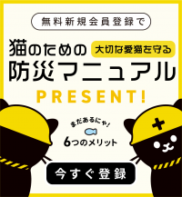 3.11は防災意識を育てる日【猫との防災に関する調査】
猫オーナーの71%が事前に対策、災害対策１位は「防災グッズの準備」