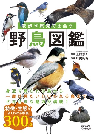 散歩や旅先に持っていきたいポケットサイズの野鳥図鑑『散歩や旅先で出会う野鳥図鑑』発売（3/9）。