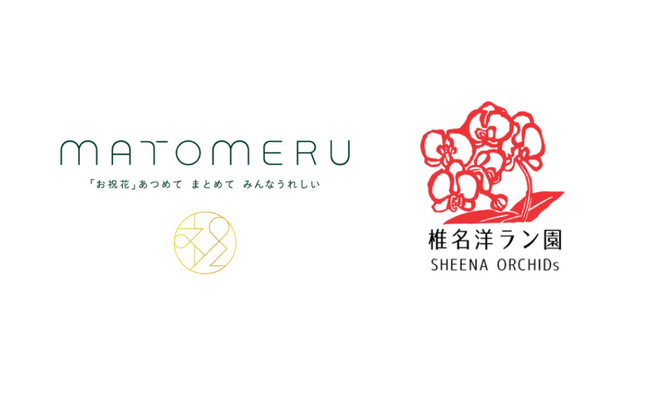 おまとめ祝い花『matomeru』、フラワーロス削減に向けて椎名洋ラン園との業務提携開始