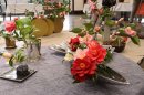 神代つばき展（令和4年度撮影）