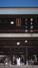 みのラブ - Four Seasons-「桜の里へようこそ」(2) みのラブ - Four Seasons-「桜の里へようこそ」(2)