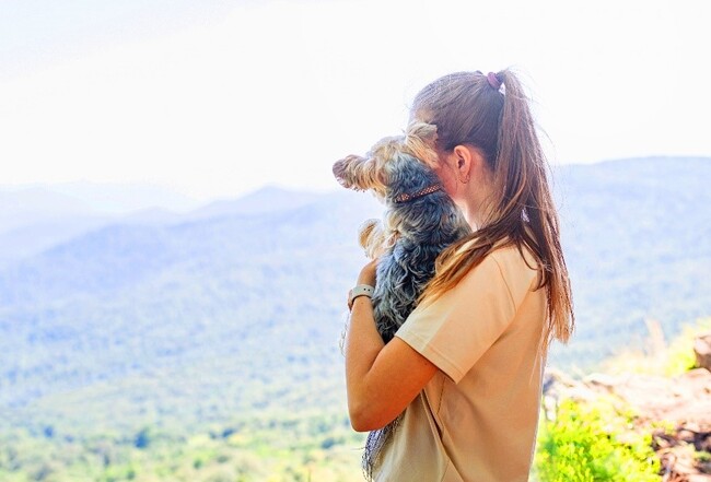 【コートヤード・バイ・マリオット 白馬】美しい白馬のグリーンシーズンを、愛犬と満喫宿泊プラン「Hakuba Fun Trip with Dog」を発売　世界に一つの愛犬オリジナルラベル付