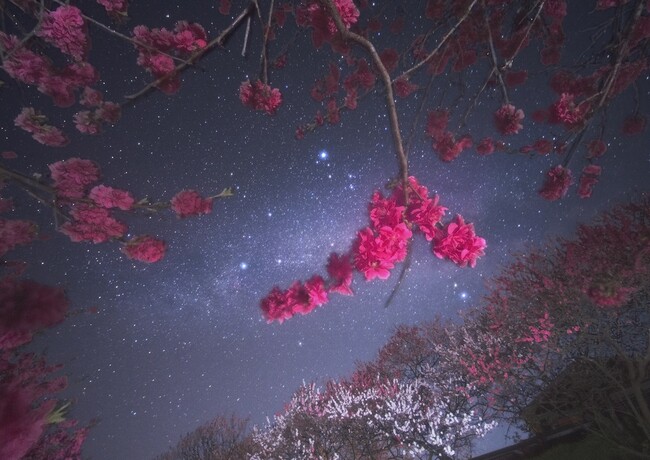 【日本一の星空】長野県阿智村　『星景写真撮影会by宮坂雅博＆小松由利江』開催！