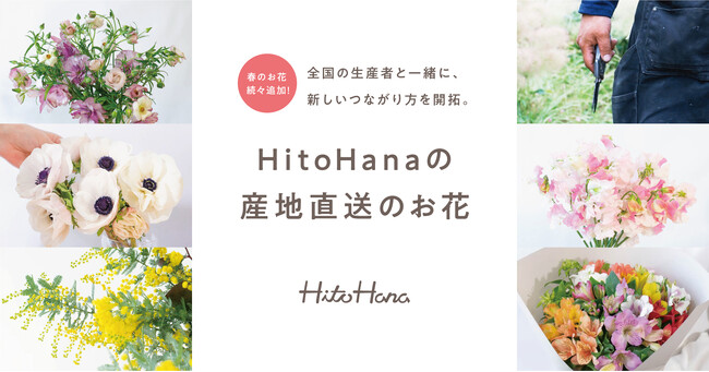 【春のお花追加】フラワーとグリーンの通販サイト「HitoHana（ひとはな）」、産地直送サービスで提携する産地が累計32件まで拡大。全国の産地から新鮮な花を直送