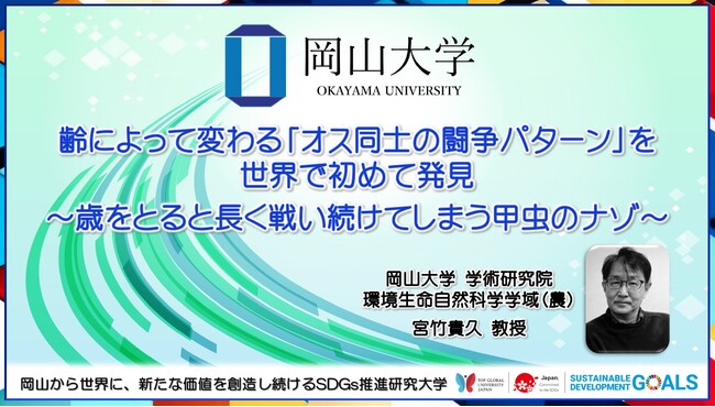 【岡山大学】齢によって変わる「オス同士の闘争パターン」を世界で初めて発見 ～歳をとると長く戦い続けてしまう甲虫のナゾ～