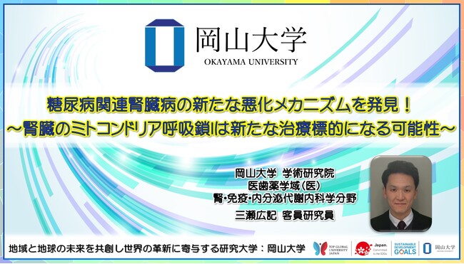 【岡山大学】糖尿病関連腎臓病の新たな悪化メカニズムを発見！ ～腎臓のミトコンドリア呼吸鎖Iは新たな治療標的になる可能性～