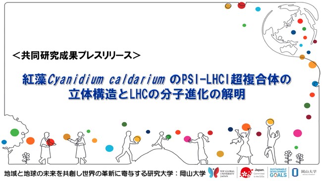 紅藻Cyanidium caldariumのPSI-LHCI超複合体の立体構造とLHCの分子進化の解明〔静岡大学, 岡山大学, 理化学研究所, 東北大学, 京都大学,豊橋技術科学大学〕