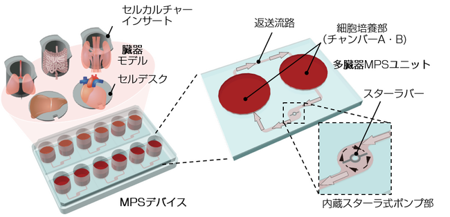 住友ベークライト 簡便な多臓器連結培養を可能にしたMPSデバイスを開発