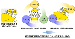 【大正製薬】朗報！？ あのタウリンは疲労回復だけではなく、睡眠改善にも！