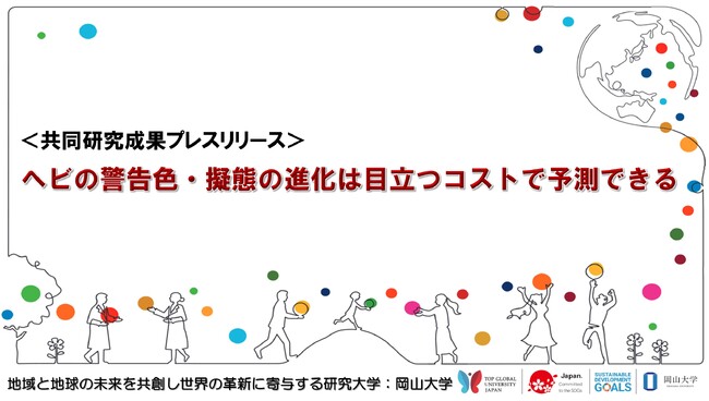 ヘビの警告色・擬態の進化は目立つコストで予測できる〔東邦大学, 京都大学, 岡山大学, フロリダ・ガルフ・コースト大学〕
