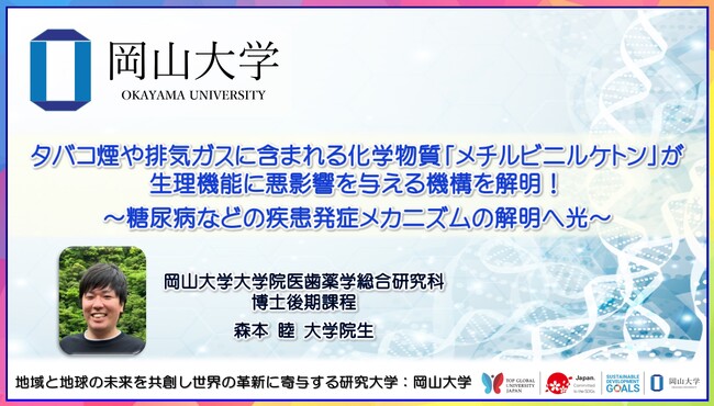 【岡山大学】タバコ煙や排気ガスに含まれる化学物質「メチルビニルケトン」が生理機能に悪影響を与える機構を解明！ ～糖尿病などの疾患発症メカニズムの解明へ光～
