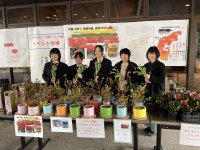 被災地のお花で支援を!!「のとキリシマツツジ」応援プロジェクト開催