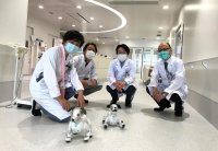 【東京医科大学】血液内科の無菌室長期療養患者の心理面におけるペット型ロボット(aibo)の支援効果を確認