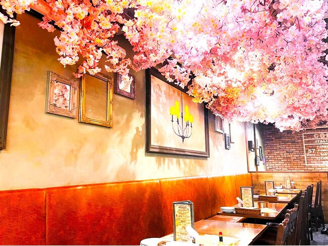 桜満開！！コスパ最強イタリアンバル【CONA】で【店内花見】！！お花見しながら窯焼きワンコインピザをお楽しみいただけますCONAの対象店舗19店舗にて期間限定開催！！