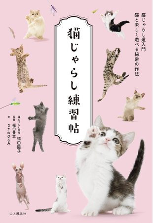 世界ではじめて（※）の猫じゃらしの本。10000びき以上の猫をじゃらしてきた猫じゃらしの達人による『猫じゃらし練習帖』刊行