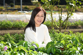 代表理事 松本 京子(1) 代表理事 松本 京子(1)