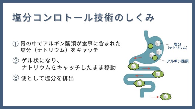 塩分吸着ファイバーで味を変えずに「美味しい」と「健康」の両立を目指す！～舌＆味覚認識装置の導入で味の変化を比較～