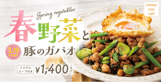 【単品でもコースでも、春を感じる】マンゴツリーカフェ「春野菜と豚のガパオ」2024年3月19日（火）より期間限定販売